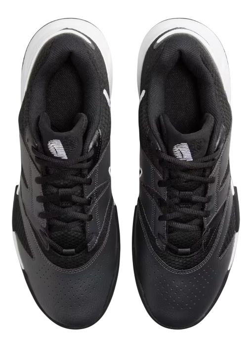 Court Lite 4-10