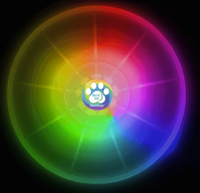 Flashflight DOG Discuit LED Flying Disc-2