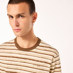 Blurred Stripes-2