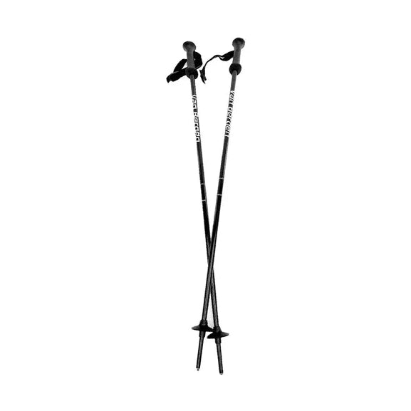 Baton SKI Alpin-Noir-1