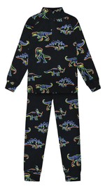 TWO Pieces SET Thermal-027-Printed Dinos-1