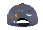 CAP-24