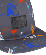CAP-25