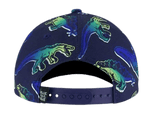 CAP-45