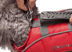 Rover Floater DOG PFD-5