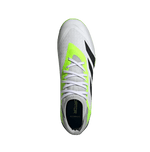 Predator Accuracy.3-3