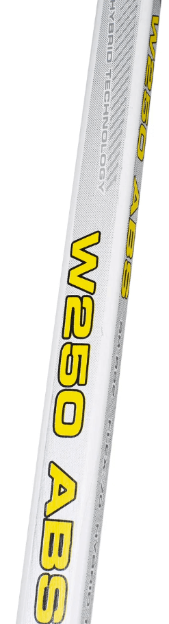 W250 ABS-1