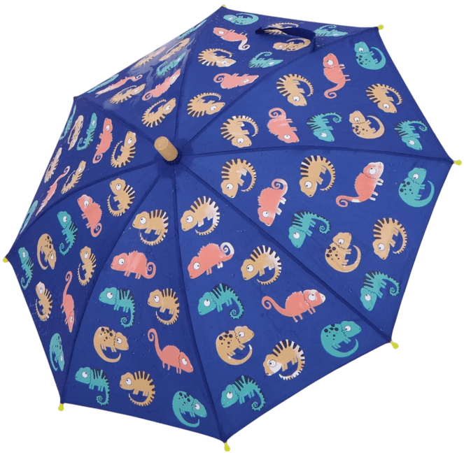 Umbrella-4