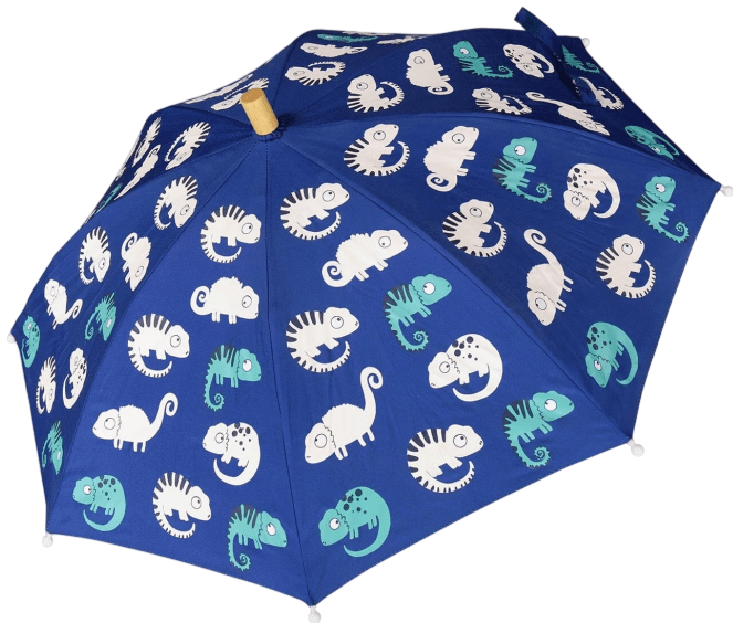 Umbrella-23