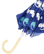 Umbrella-1