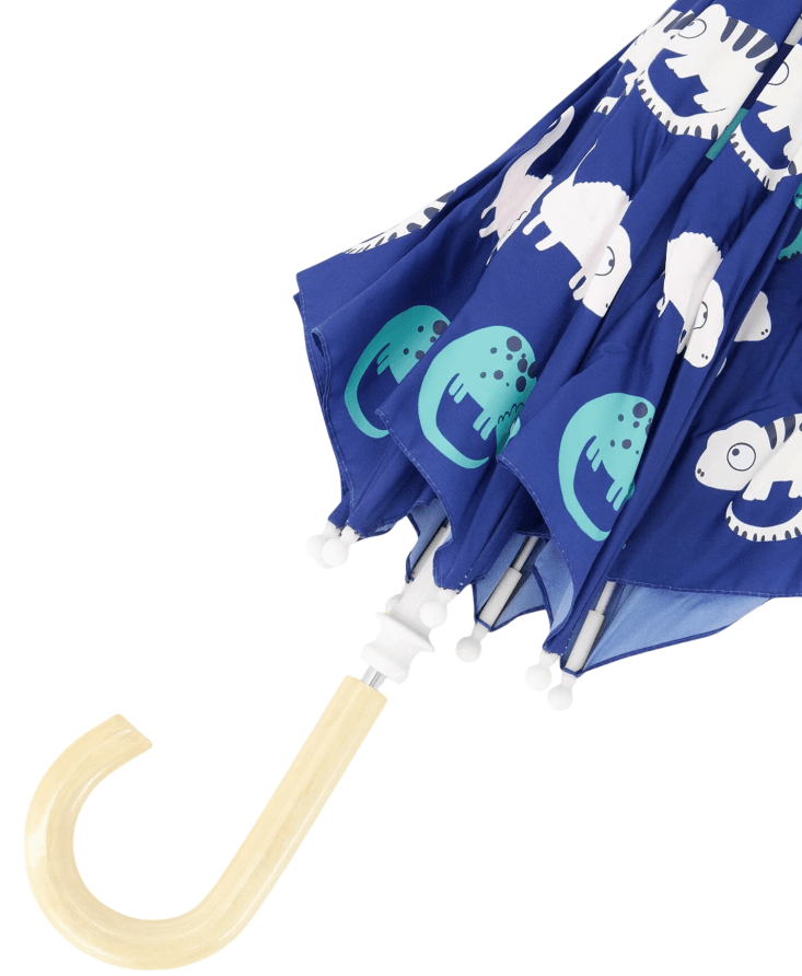 Umbrella-1