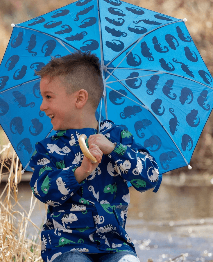 Umbrella-19