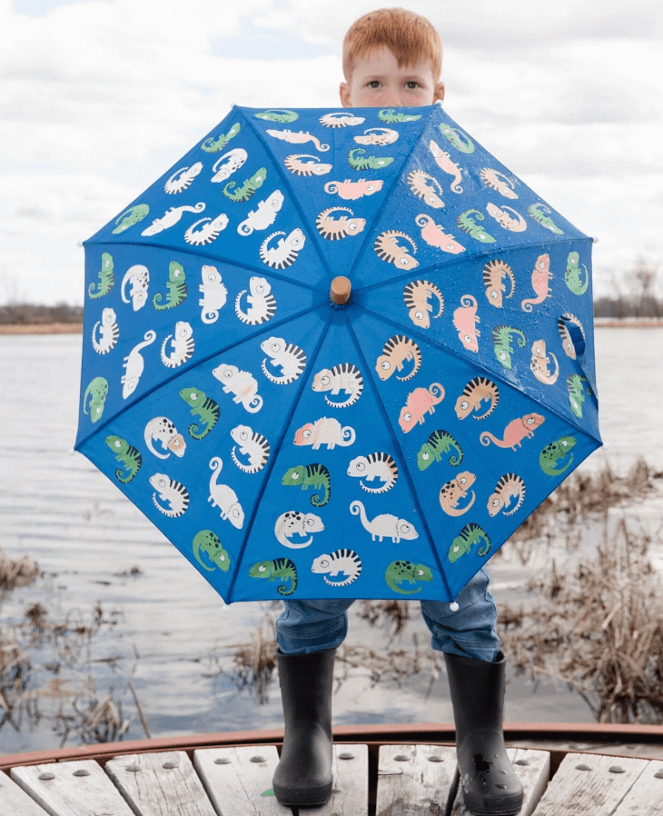 Umbrella-18