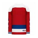 Gilet Hockey LNH-1