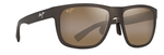 Puakea Bronze HCL-1