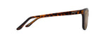 Honi Bronze HCL-3