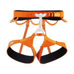 Hirundos-Orange-1