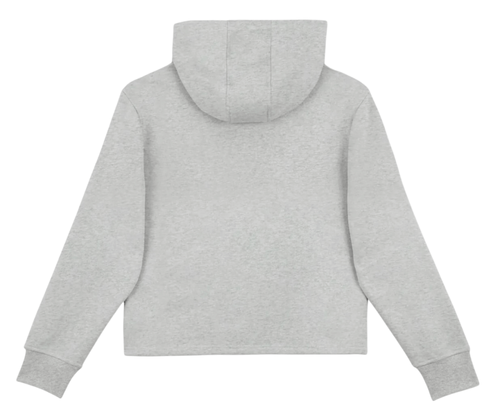 Cropped-2