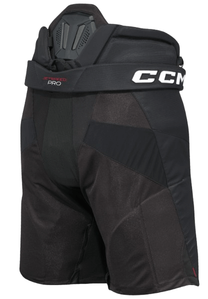 Jetspeed PRO-2