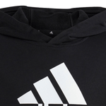 U BIG Logo-7