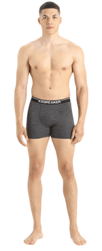 Merino 150 Anatomica-19