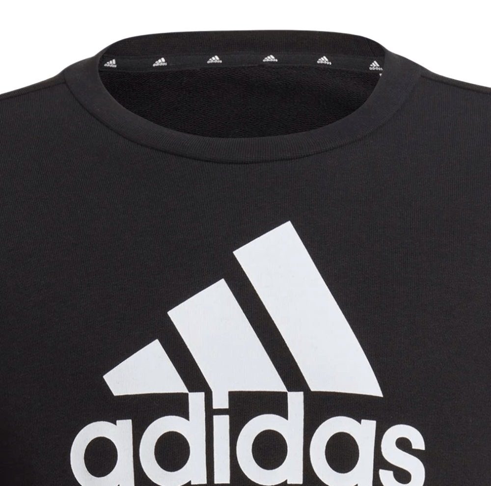 Texte alternatif de l'image