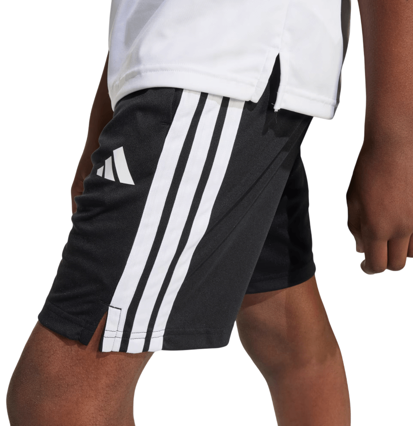 Train Essentials 3-Stripes-15