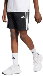 Train Essentials 3-Stripes-21
