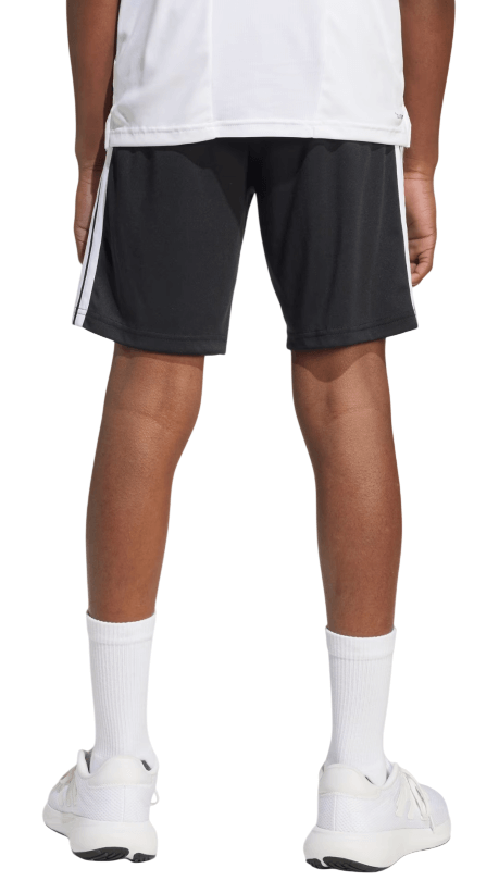 Train Essentials 3-Stripes-11