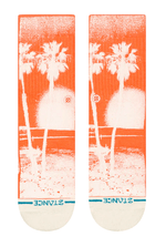 Paradise Crew-4