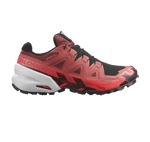 Spikecross 6 GTX-Cohide/Black/Cora-1