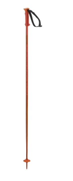 Polar-8