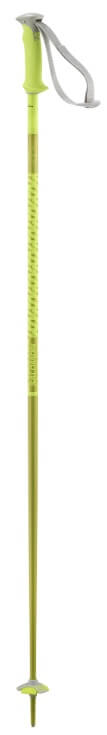 Polar-Neon Yellow-1
