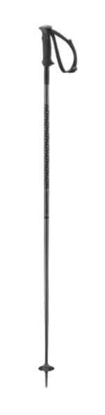 Polar-1