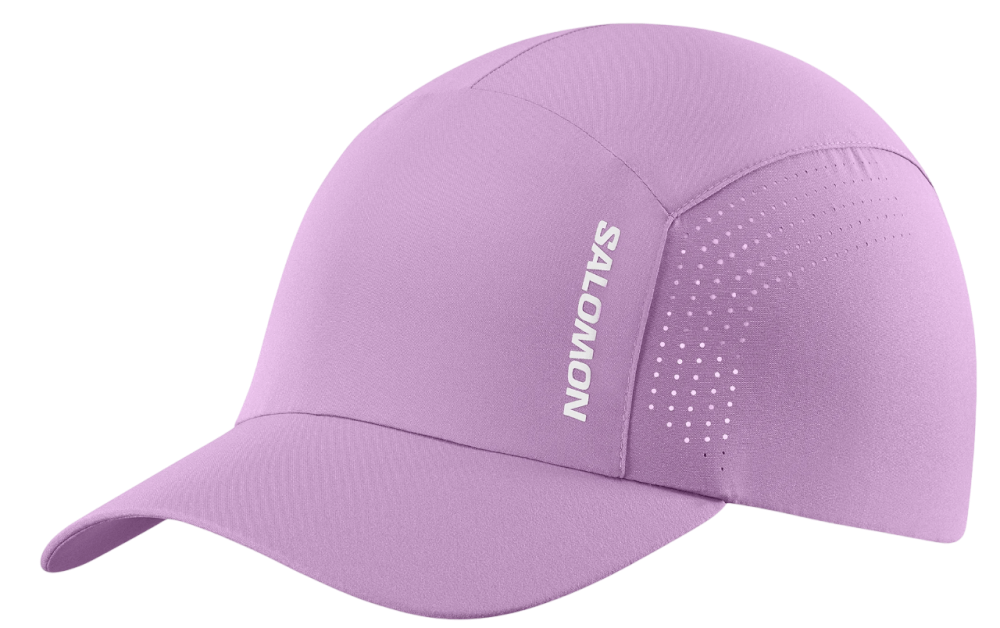 Shakeout-Iris Orchid-1