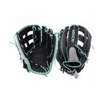PRO 13 Limited Edition-1