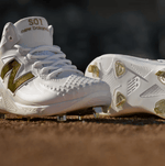 Fuel Cell Ohtani 1-11