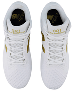 Fuel Cell Ohtani 1-14