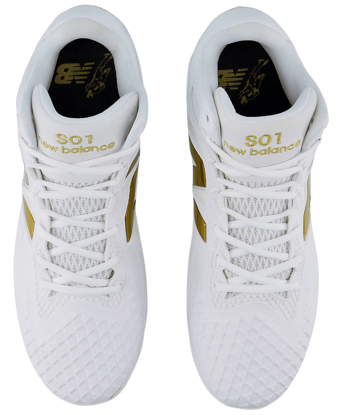 Fuel Cell Ohtani 1-14