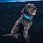 Nitedog Rechargable LED Collar Cover-18