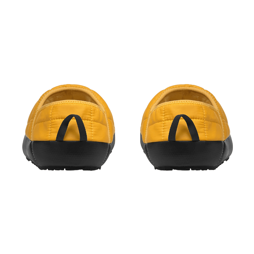 Texte alternatif de l'image