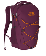 Jester-K4O-Boysenberry/Mand-1