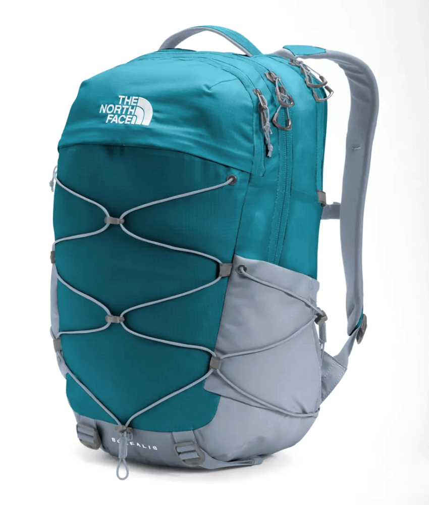 Borealis-100