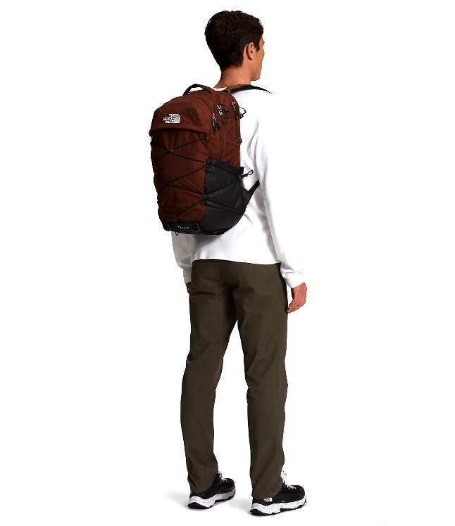 Borealis-11