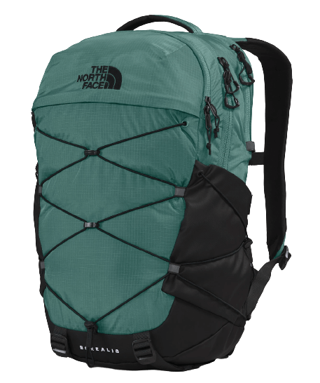Borealis-139