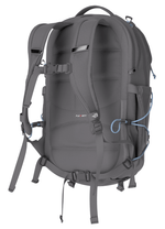 Borealis-32