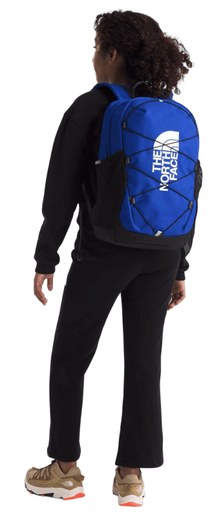 Court Jester-113