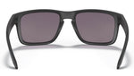 Holbrook Matte Black W/ Prizm Grey-1