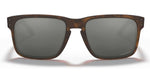 Holbrook Matte Brown Tortoise W/Prizm BK-8