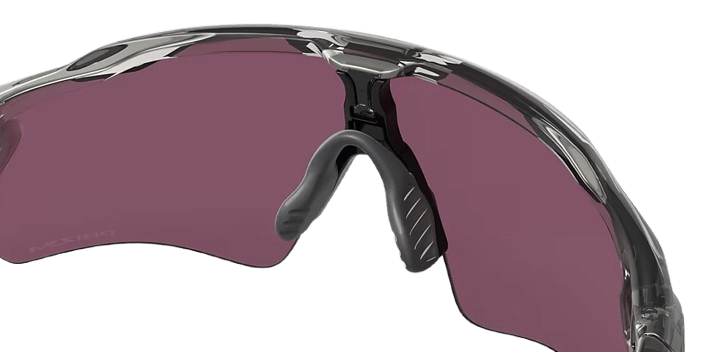 Radar EV Path Grey INK/Prizm Road Black-3